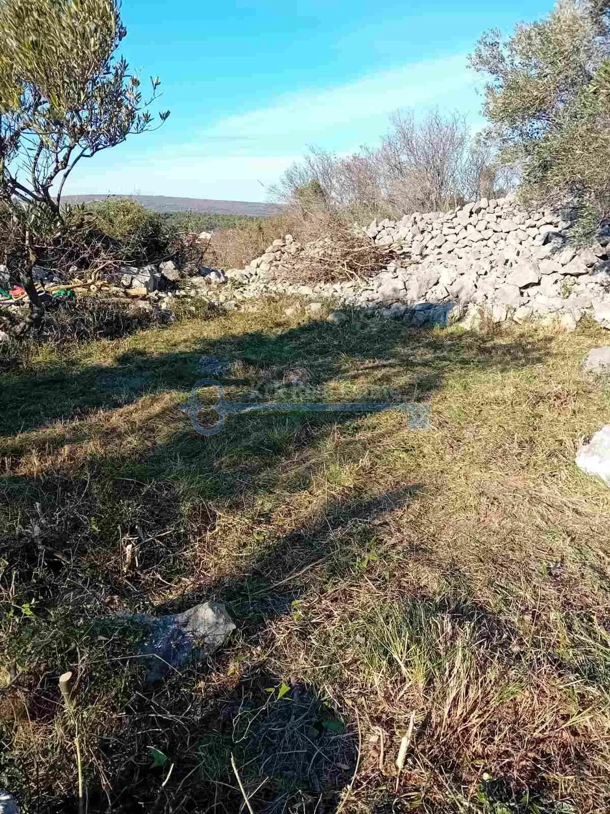 punat - maslinik sa pogledom na more - slika 2