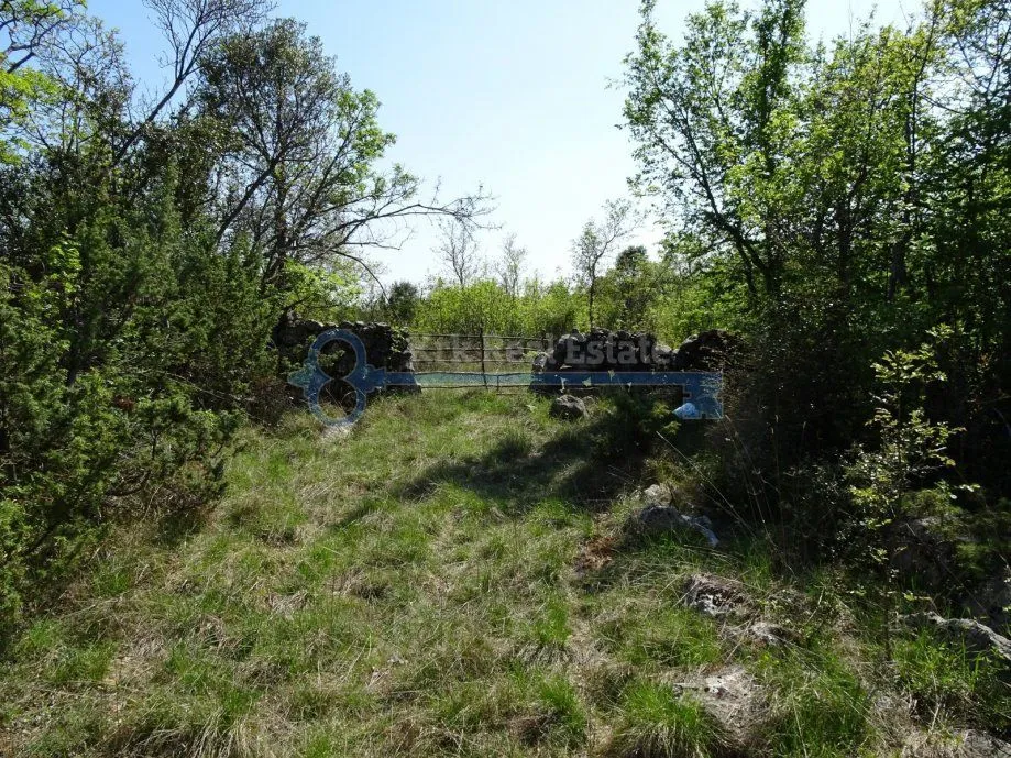 skrbčići - veliko poljoprivredno zemljište - slika 4