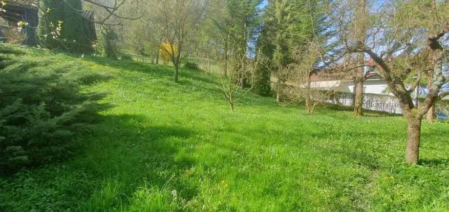 poljana sutlanska, drv. kućica i započ.gradnja kuće na imanju 11600m2 (prodaja) - slika 9