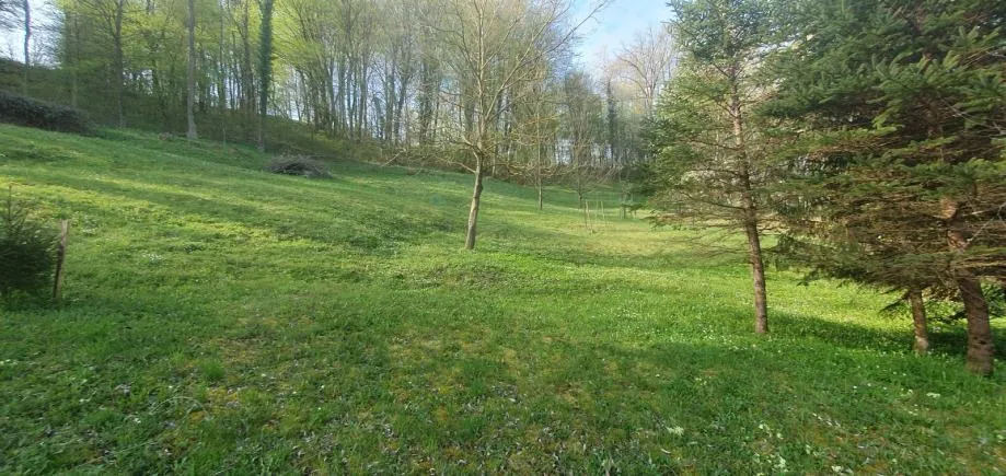 poljana sutlanska, drv. kućica i započ.gradnja kuće na imanju 11600m2 (prodaja) - slika 13