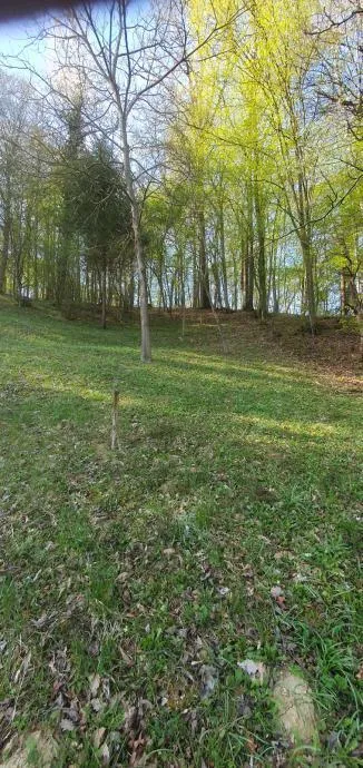 poljana sutlanska, drv. kućica i započ.gradnja kuće na imanju 11600m2 (prodaja) - slika 14