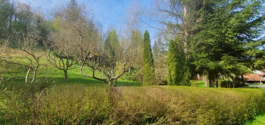 poljana sutlanska, drv. kućica i započ.gradnja kuće na imanju 11600m2 (prodaja) - slika 15