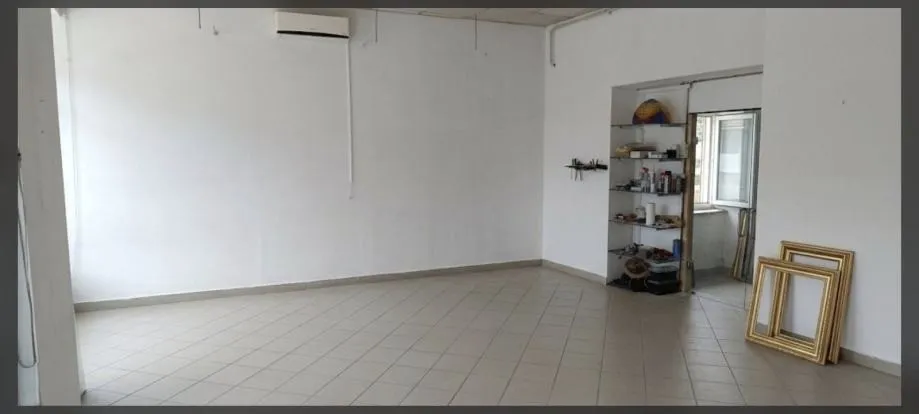kuća s poslovnim prostorom: osijek, reisnerova ul., 85.81 m2 + 103 m2 - slika 7