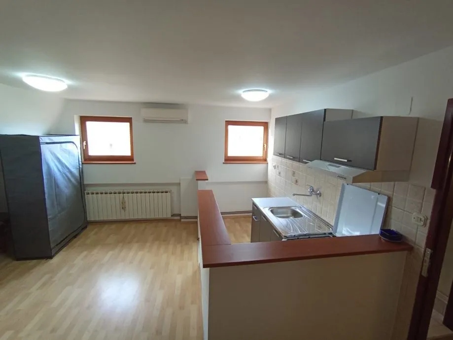 kuća: zagreb (savski gaj), 123.00 m2 najam za 11 osoba (iznajmljivanje - slika 8