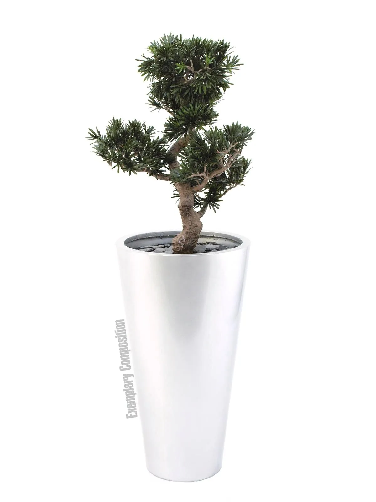 europalms bonsai podocarpus, 80cm - slika 2