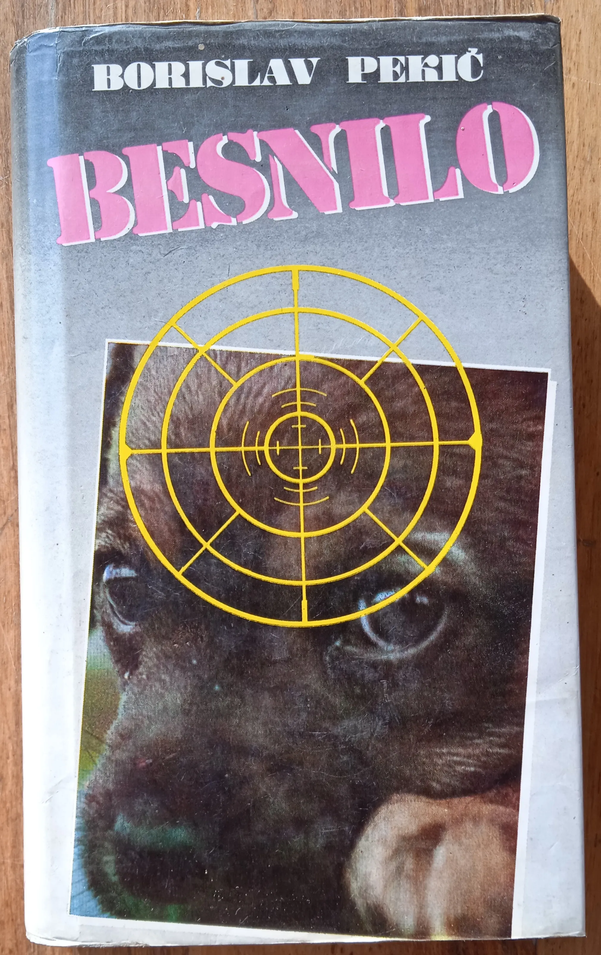 BESNILO Borislav Pekić - Sisak