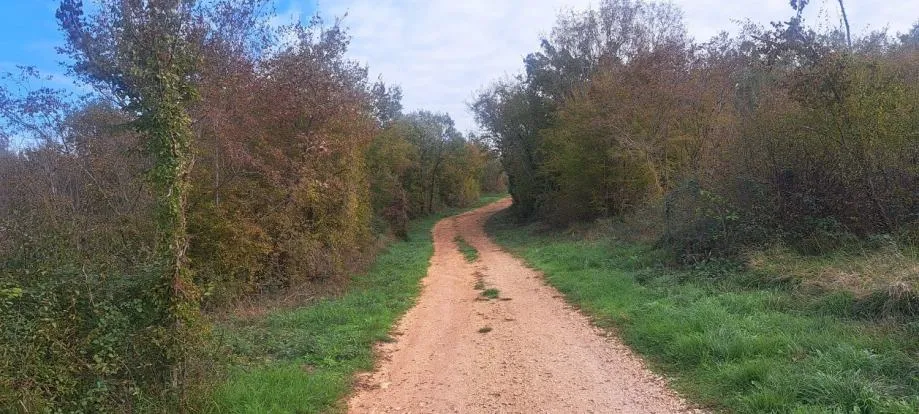 tar-poljoprivredno zemljište na prodaji - slika 3
