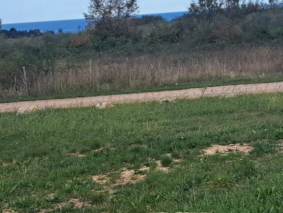 poreč-zemljište za gradnju mini hotela - slika 5