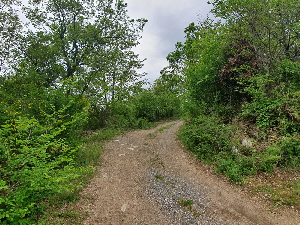 prodaja, građevinska parcela u pićnu, z-627 - slika 7