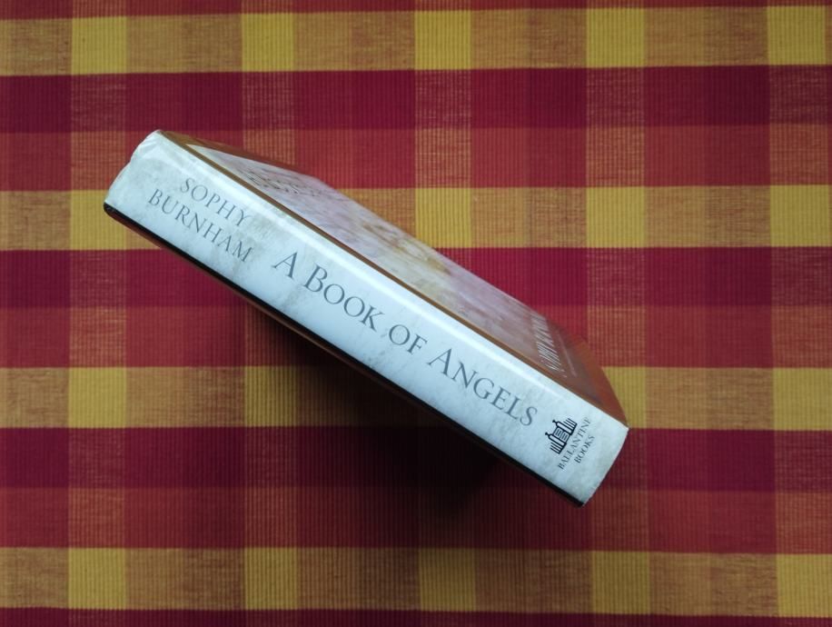 sophy burnham - a book of angels - slika 2