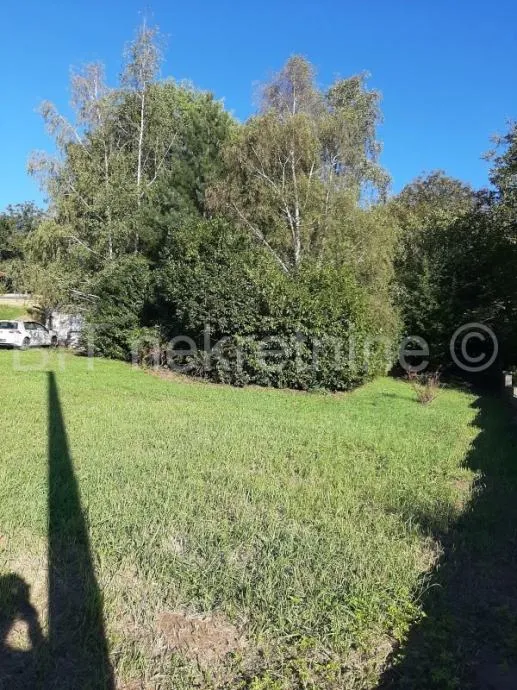zemljište prodaja vinica 13400m2 - slika 5