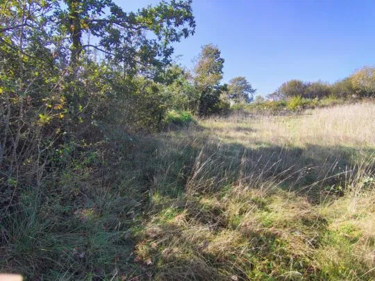 Hrvatska Istra Barban građevinsko zemljište 1.465 m²
