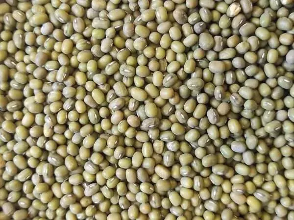 Mungo grah-katjang 1kg - Đakovo