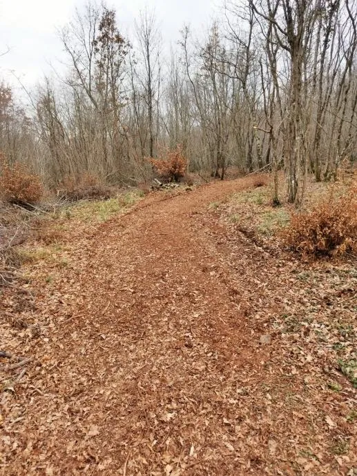 istra, barban, prodaja poljoprivrednog zemljišta 11700 m2 - slika 7