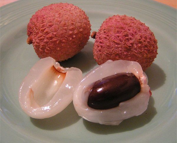 LIČI sadnica