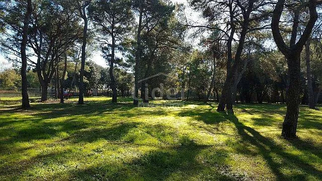 rovinj, građevinsko zemljište 12.050 m2 - slika 8