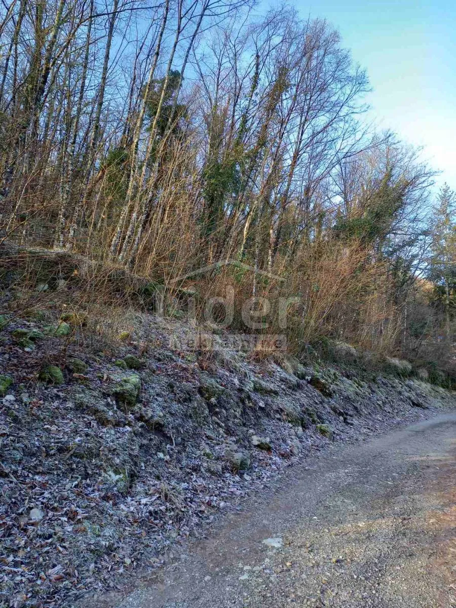 zvoneća, građevinski teren od 5 378 m2 - slika 2