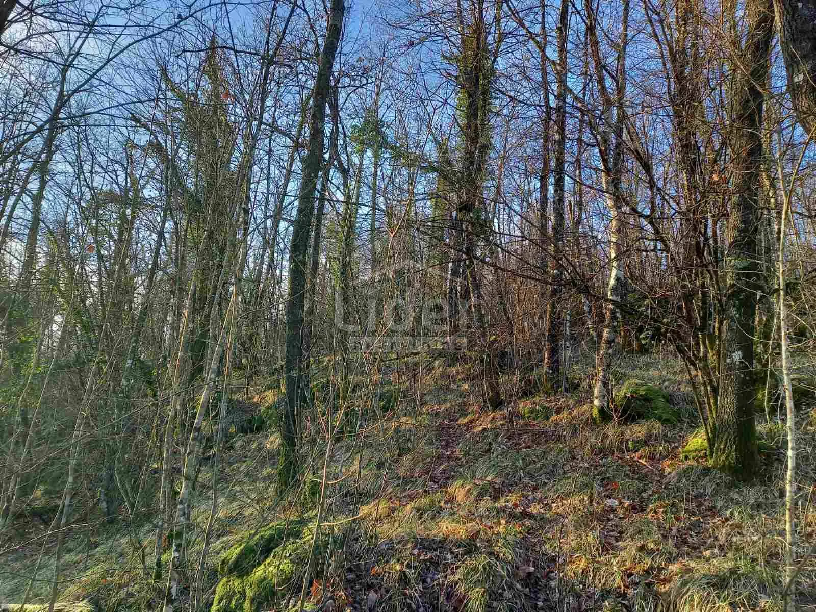 zvoneća, građevinski teren od 5 378 m2 - slika 3