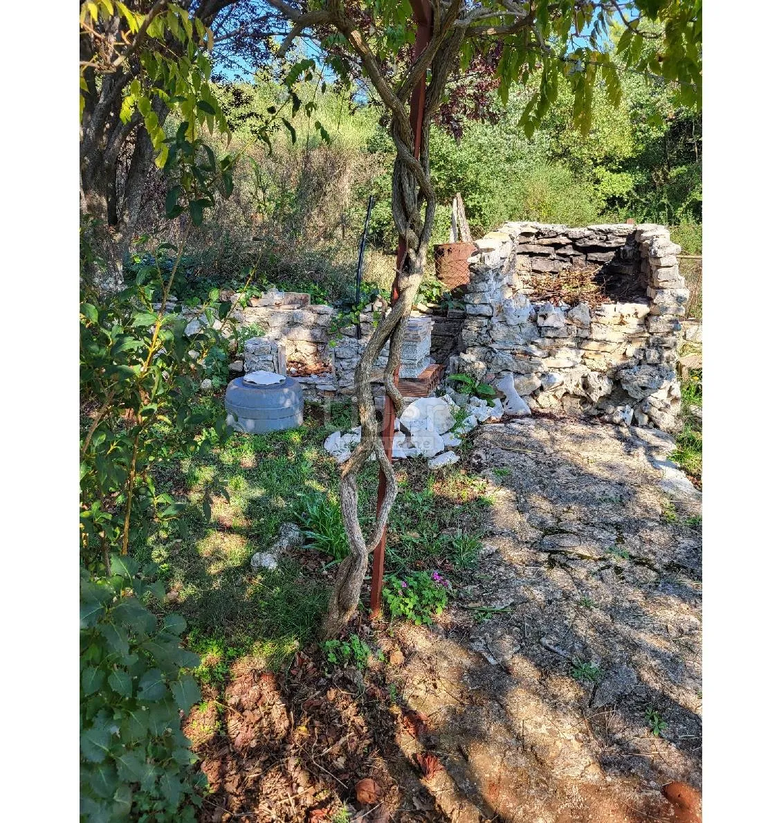 rovinj, rovinjsko selo, samostojeća kuća sa 1.507m2 okućnice - slika 18