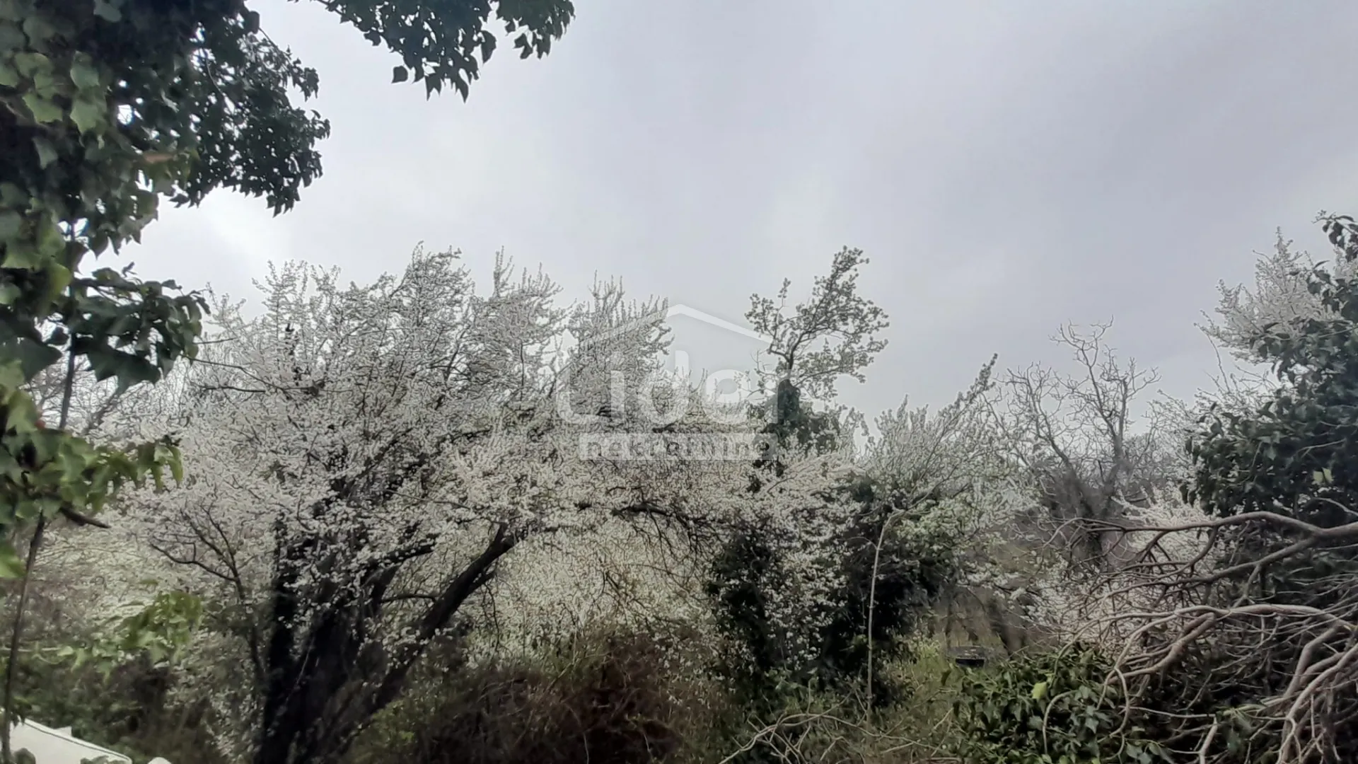 Hreljin, Bakar-Samostojeća Kamena Kuća 120m2