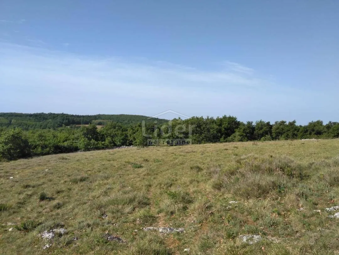 istra poljoprivredno zemljište u okolici višnjana - slika 4