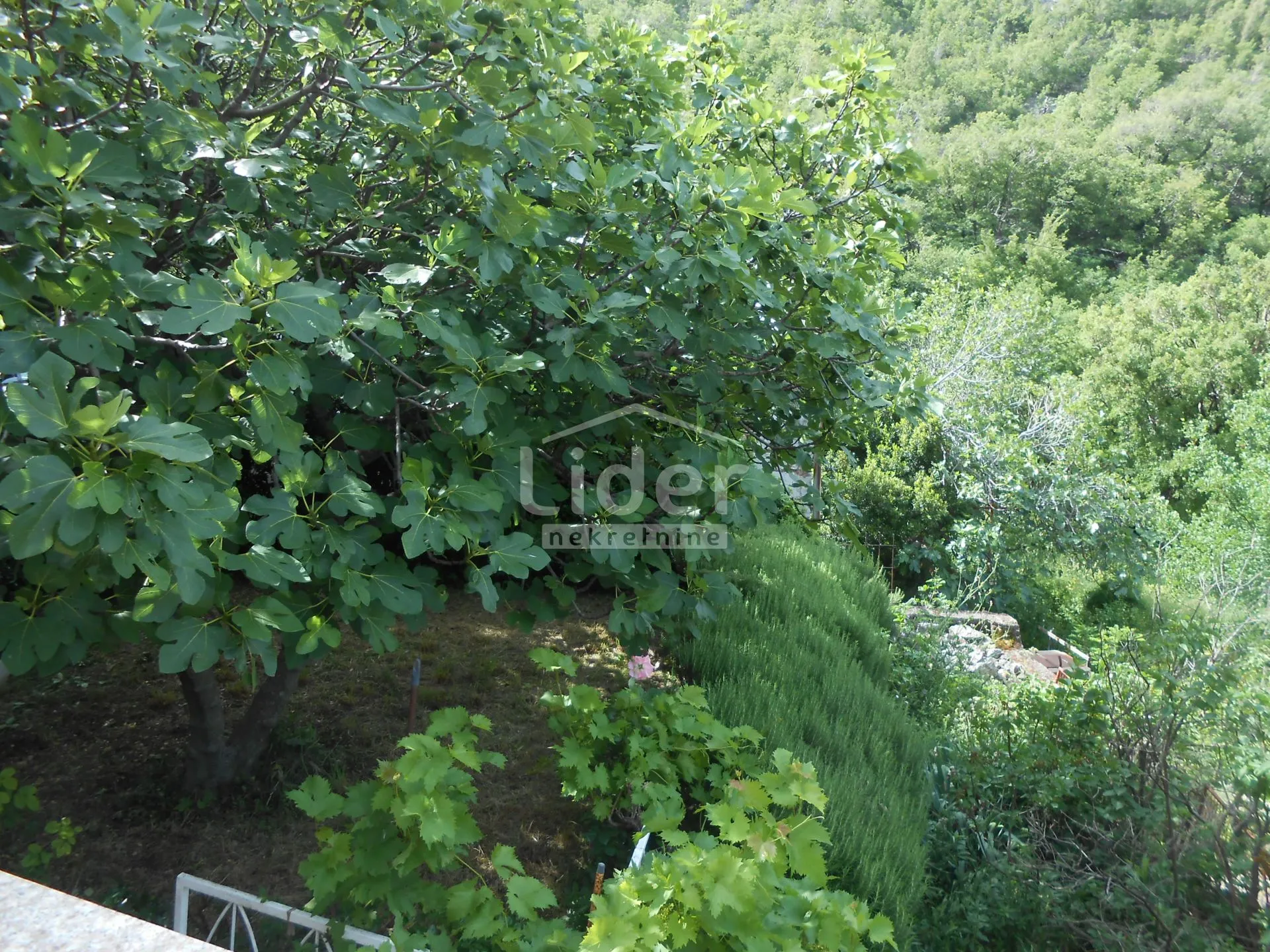 bunica (senj) 2 stana u kući s pogledom na more - slika 21