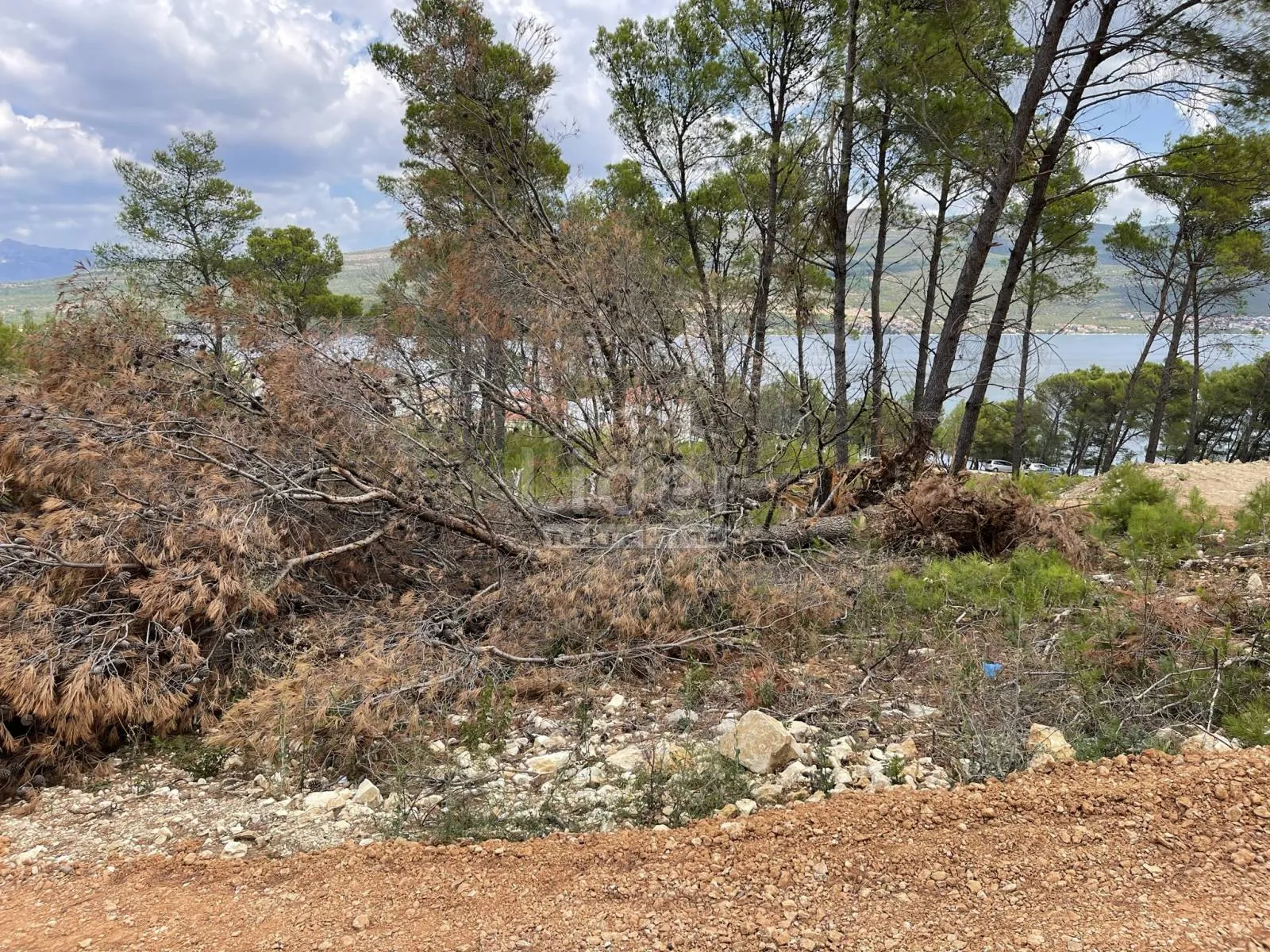 pridraga, građevinsko zemljište 849 m2 na samo 130 m od mora - slika 16
