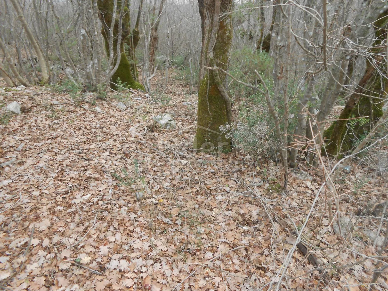 sužan (otok krk) poljoprivredno zemljište, 2841 m2 - slika 4