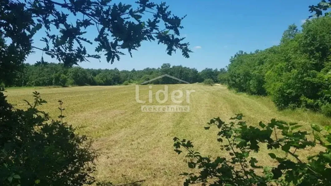 istra - 20.000 m2 poljoprivrednog zemljišta - slika 2