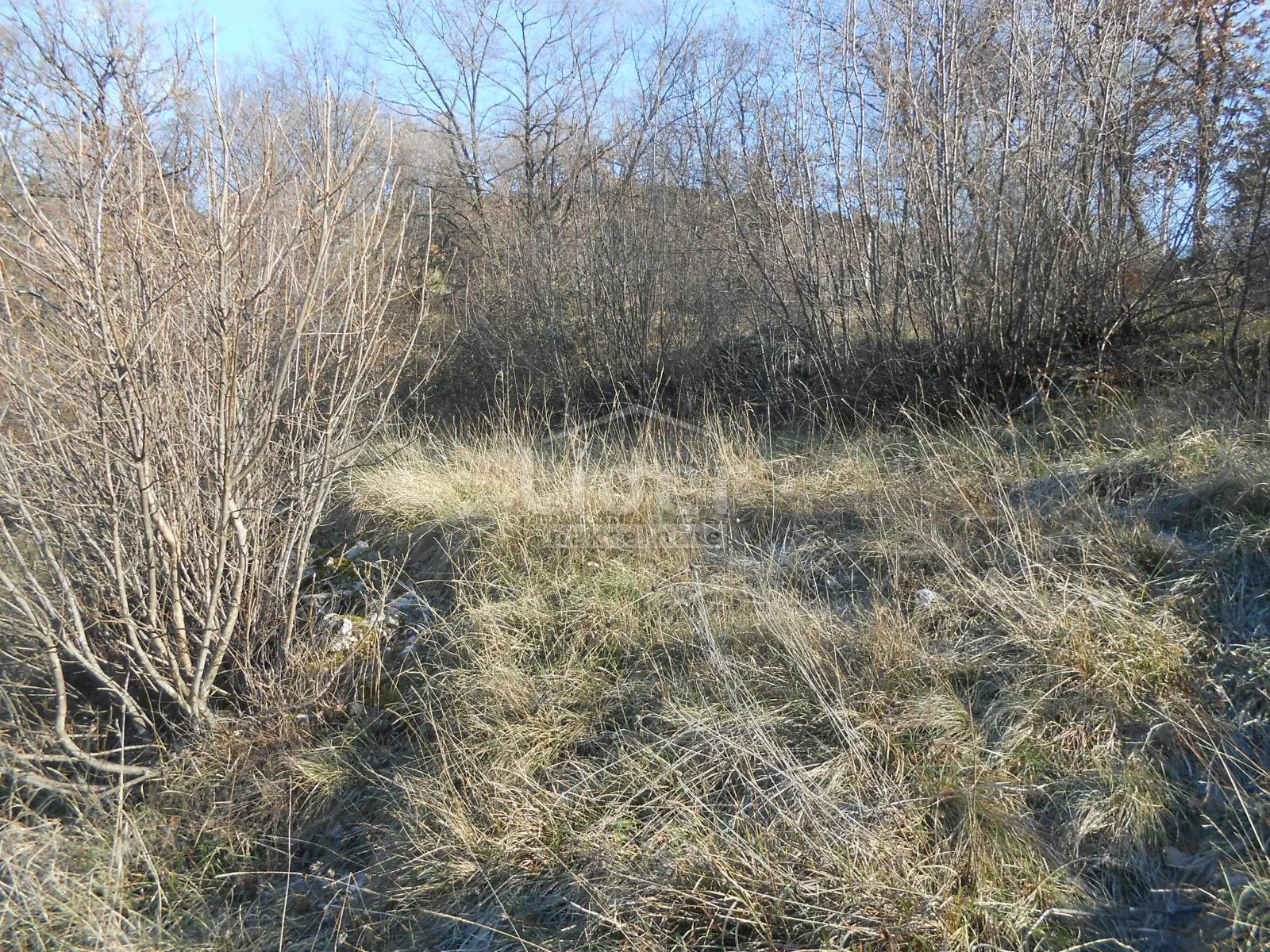 čavle-cernik građevinsko zemljište 1017 m2 - slika 4