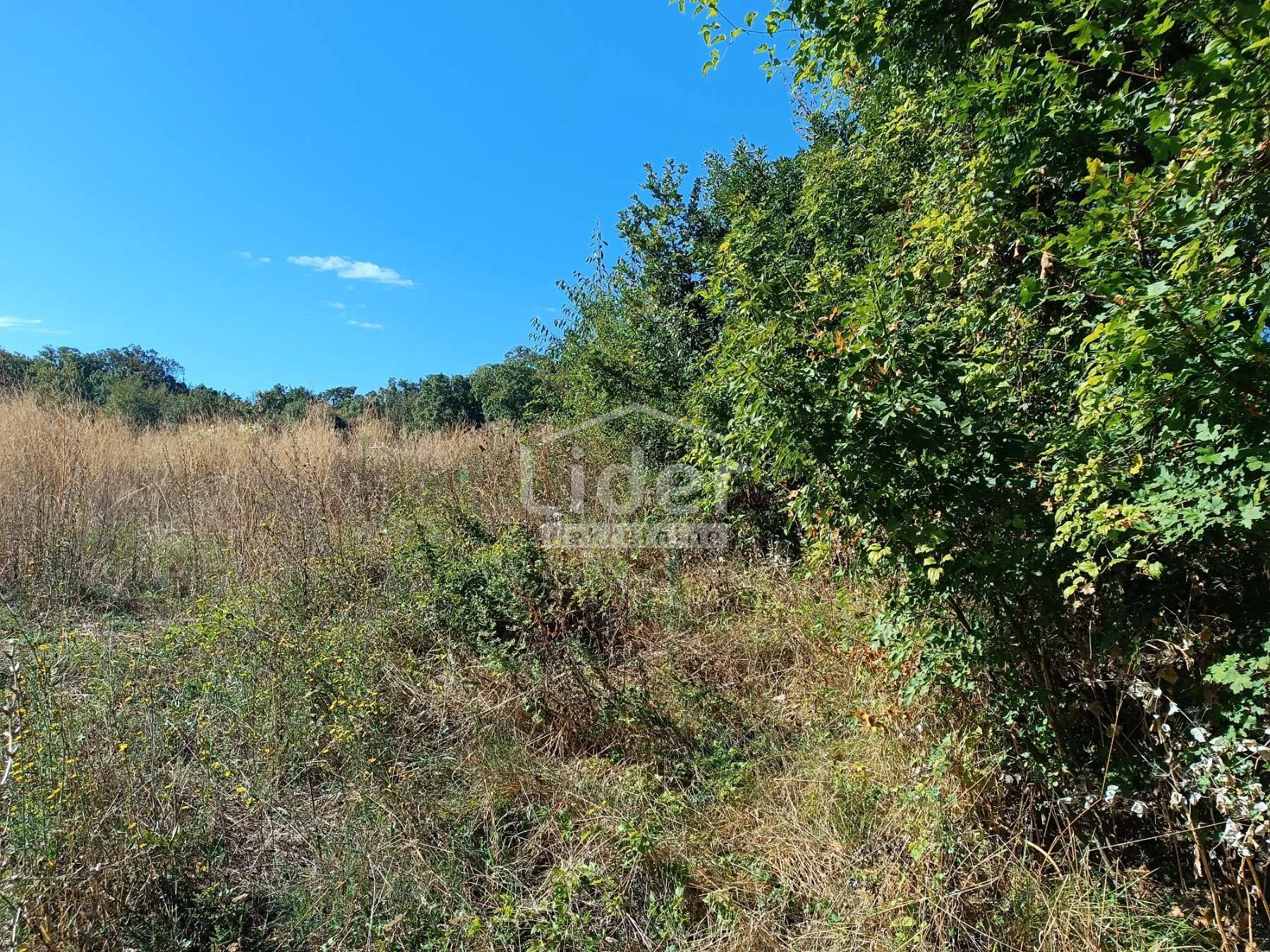zemljište buzdohanj, 3548 m2 - slika 2