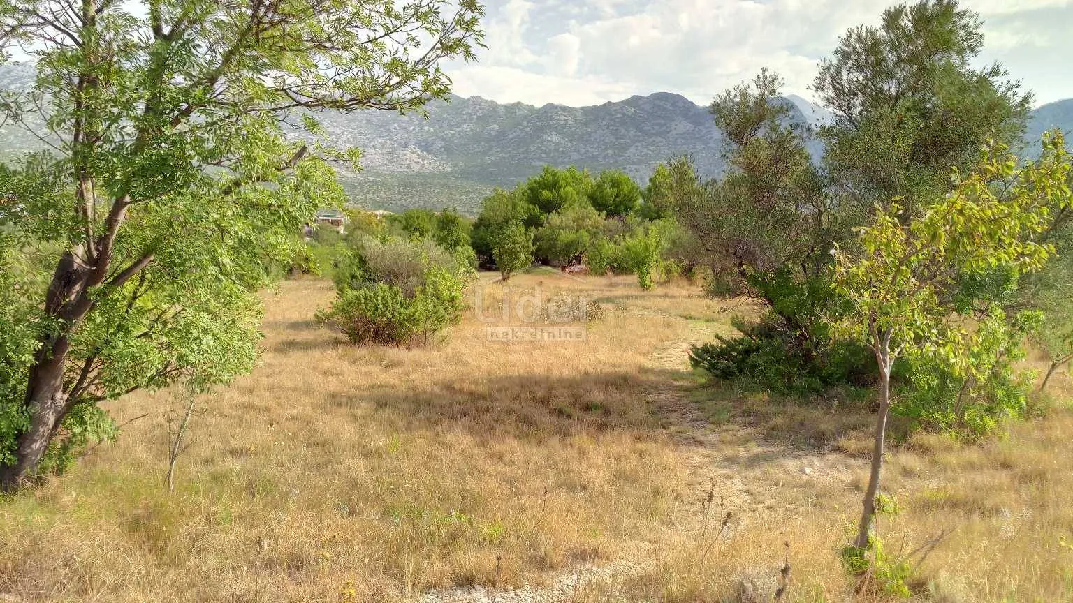 starigrad-paklenica zemljište 300m od mora - slika 7