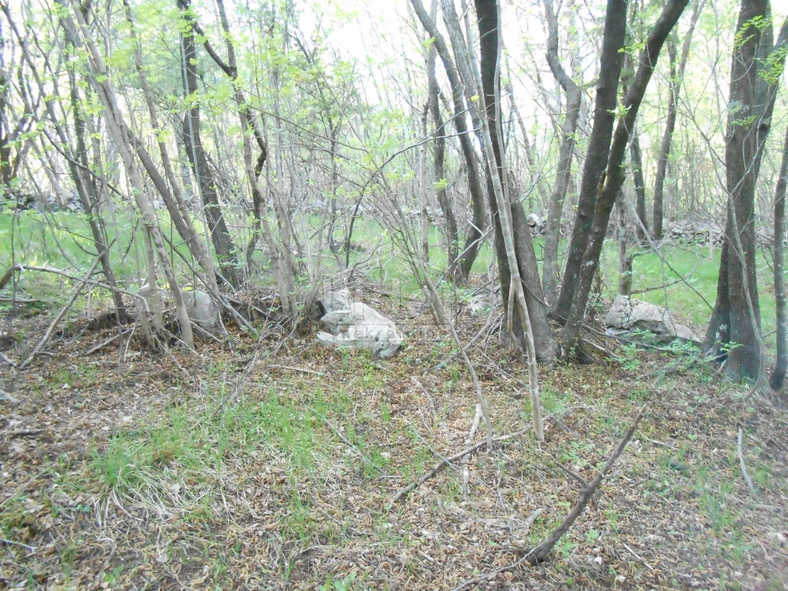 gornja drenova, zemljište 1400m2 - slika 2