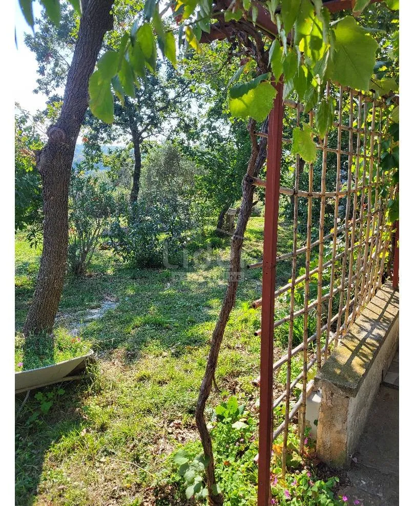 rovinj, rovinjsko selo, samostojeća kuća sa 1.507m2 okućnice - slika 17