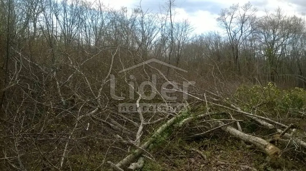 istra-medulin (okolica) zemljište 200 m od mora - slika 6