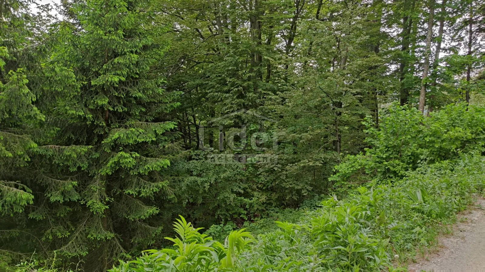 fužine zemljište-šuma od 22.378 m2 s prilazom - slika 7