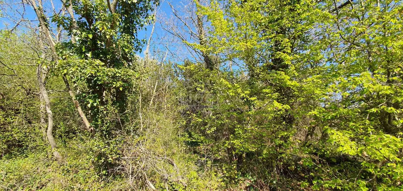 istra - poljoprivredno zemljište u okolici lovreča - slika 4