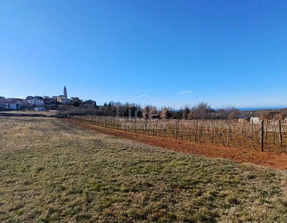 istra zemljište sa pogledom na more - slika 4