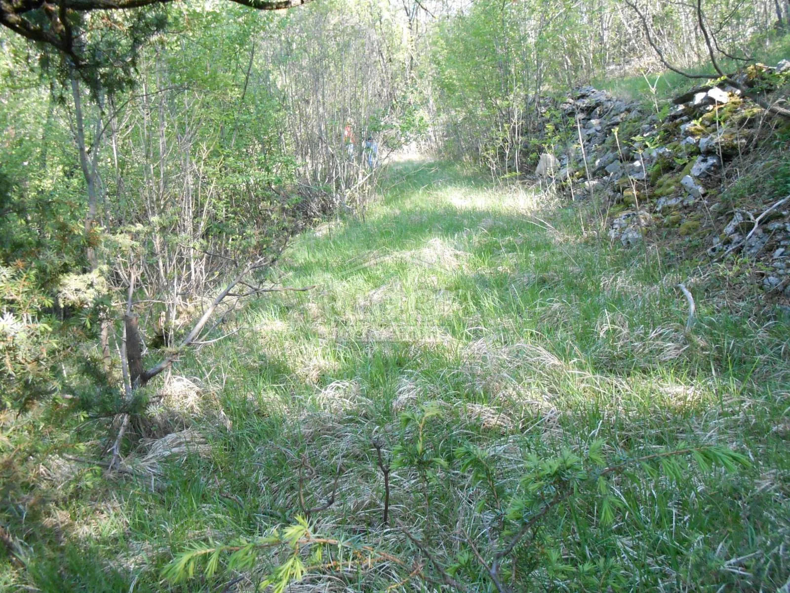 gornja drenova, zemljište 1400m2 - slika 3