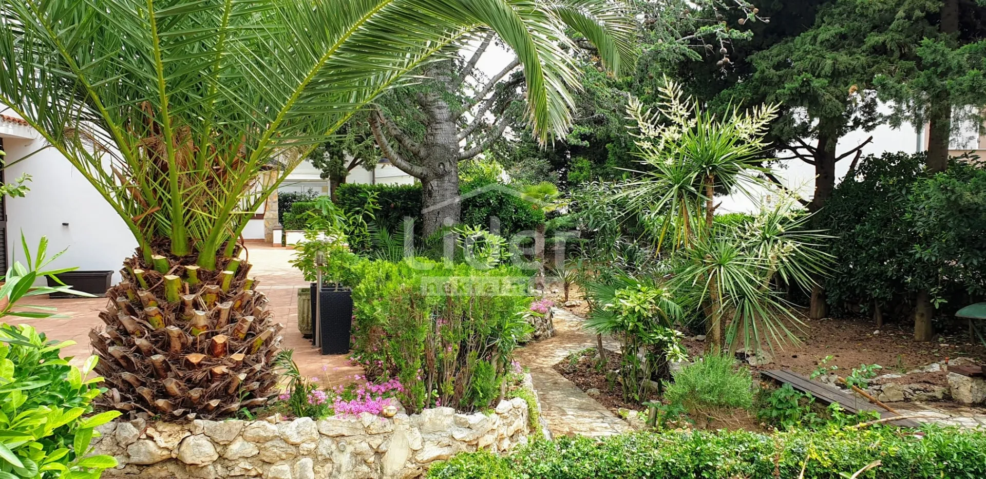 novalja – gaj samostojeća kuća u mediteranskoj oazi, 2 red od mora - slika 7