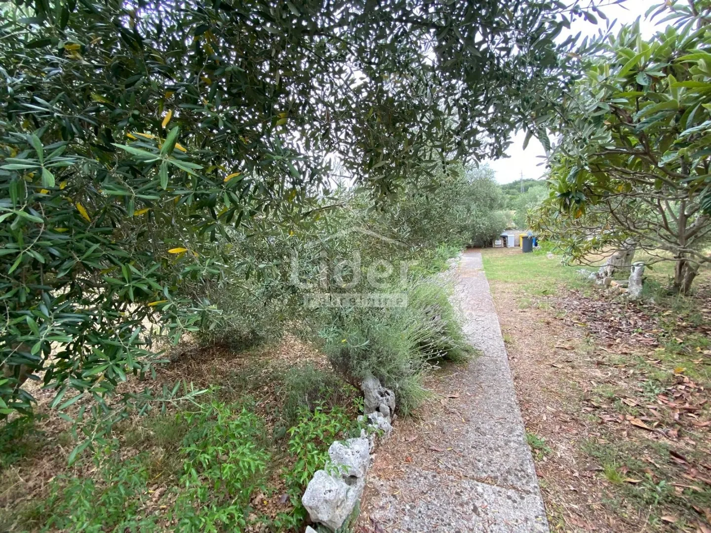 rovinj, rovinjsko selo, samostojeća kuća sa 1.507m2 okućnice - slika 20