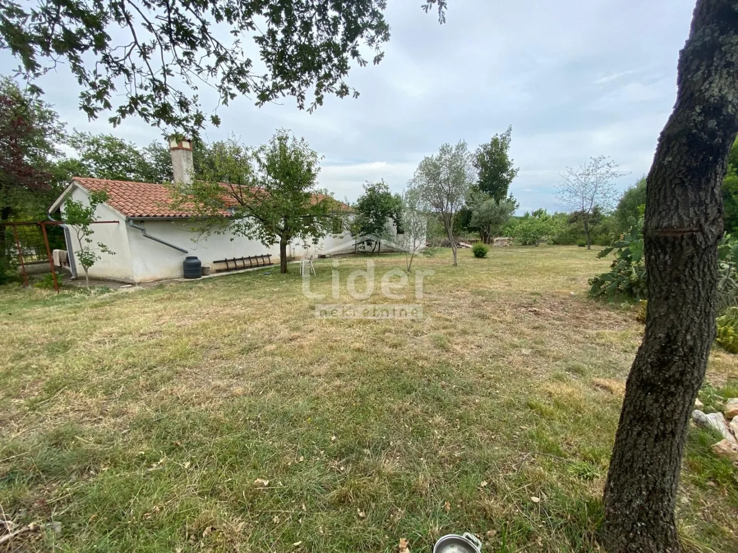 rovinj, rovinjsko selo, samostojeća kuća sa 1.507m2 okućnice - slika 16