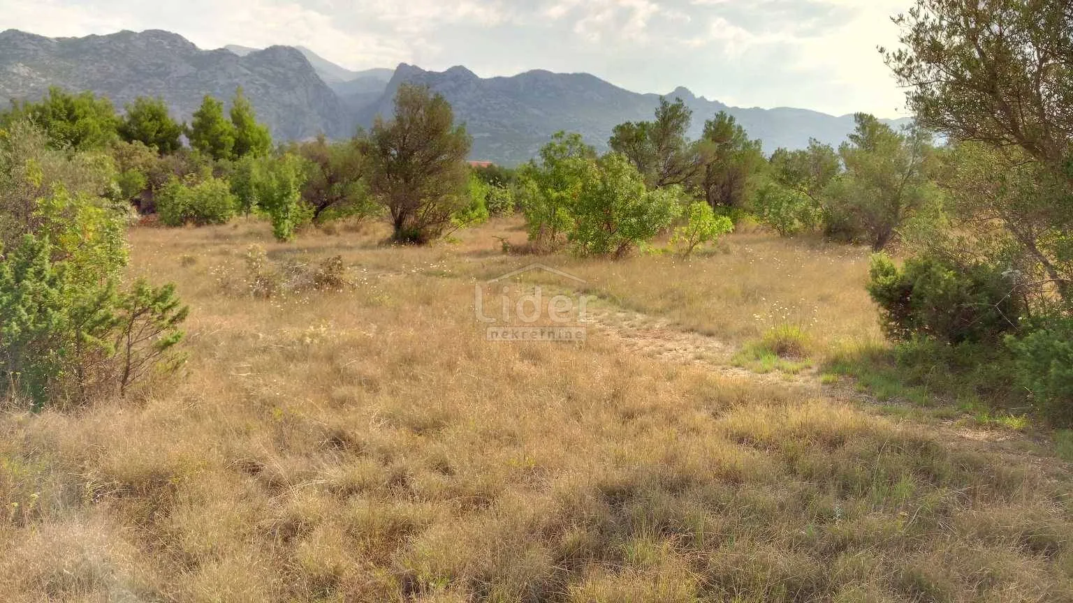 starigrad-paklenica zemljište 300m od mora - slika 4