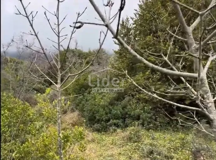 nerezine - građevinsko zemljište 401 m2 - slika 2