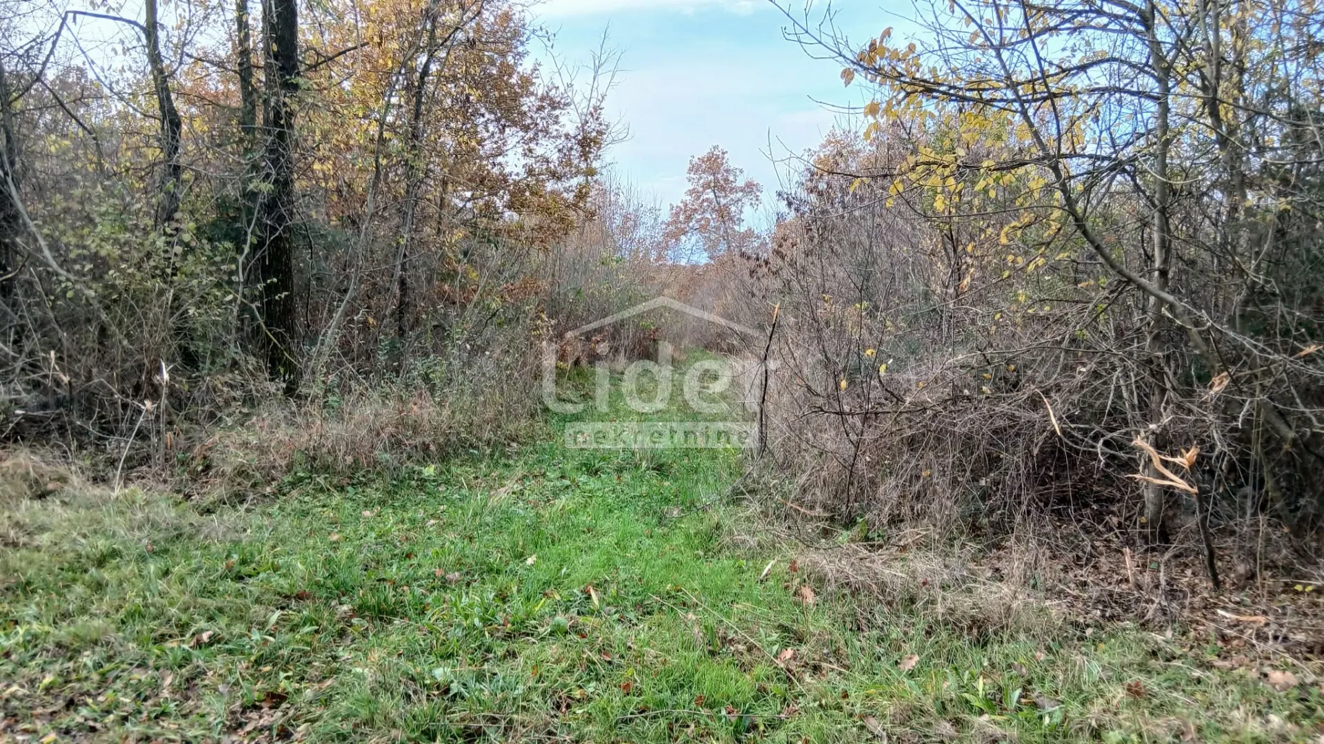 veliko poljoprivredno zemljište blizu kanfanara - slika 8