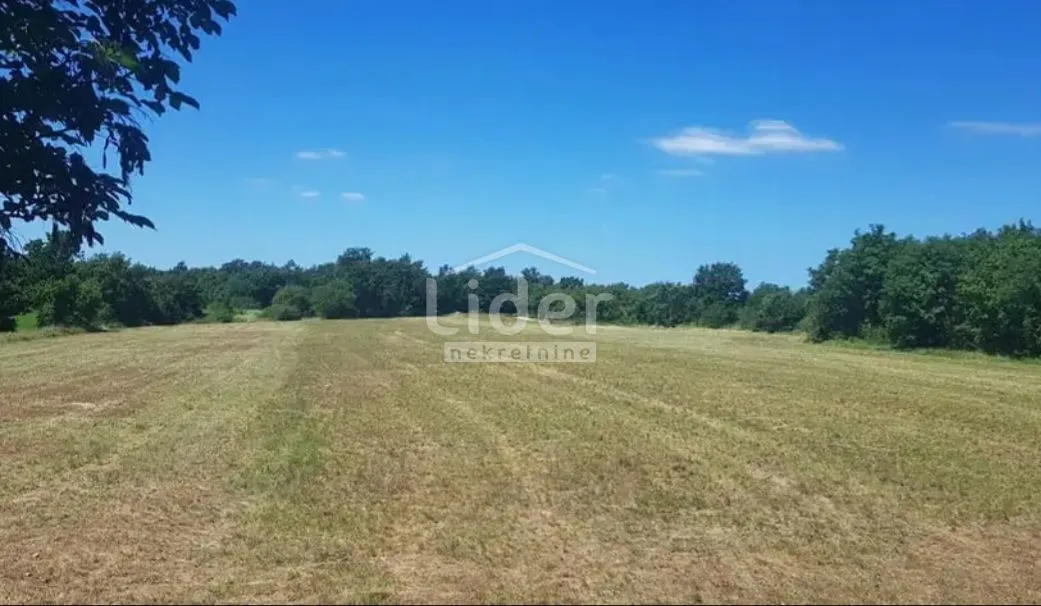 istra - 20.000 m2 poljoprivrednog zemljišta - slika 3