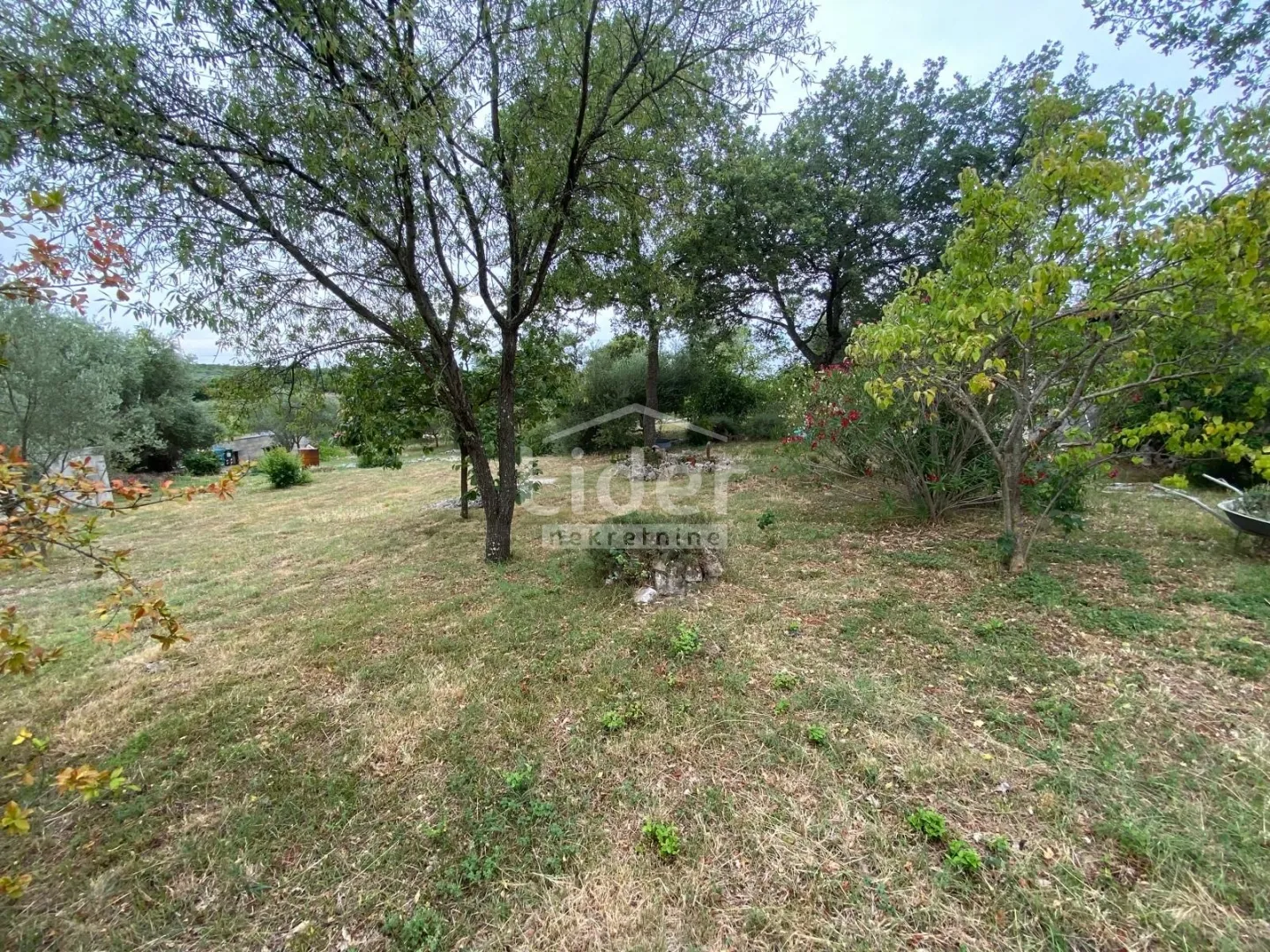 rovinj, rovinjsko selo, samostojeća kuća sa 1.507m2 okućnice - slika 24