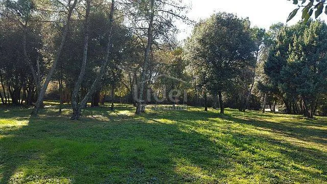 rovinj, građevinsko zemljište 12.050 m2 - slika 2