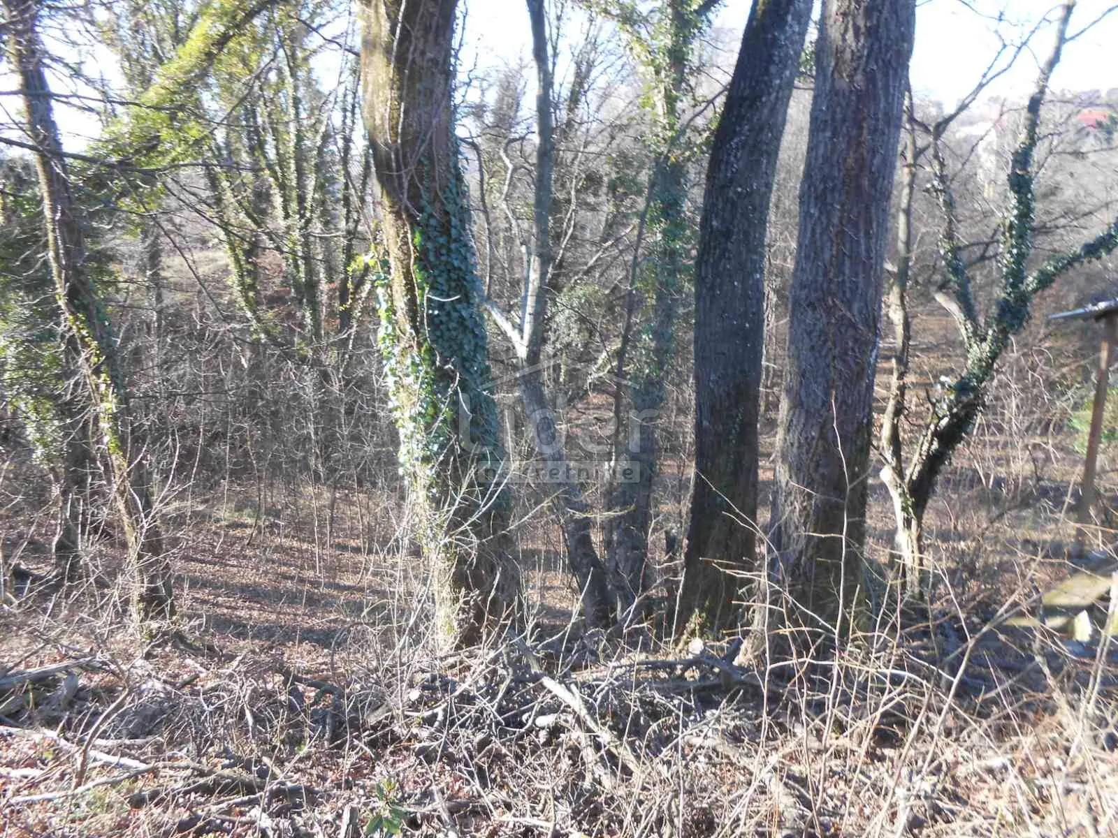 čavle - cernik, građevinsko zemljište 1724 m2 - slika 4