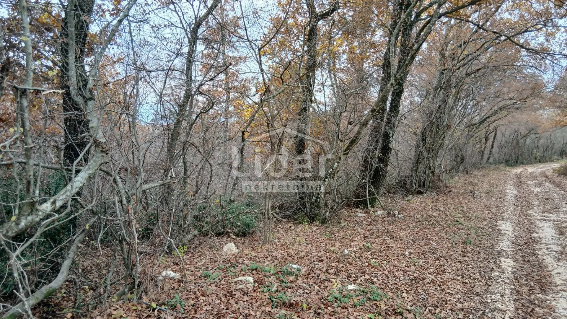 veliko poljoprivredno zemljište blizu kanfanara - slika 5